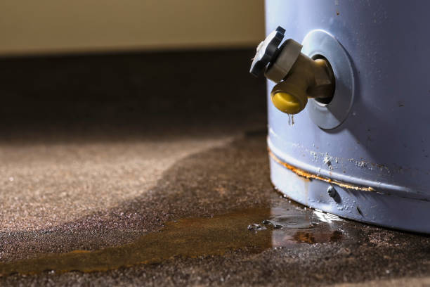 Best Local water damage restoration  in Linn, MO