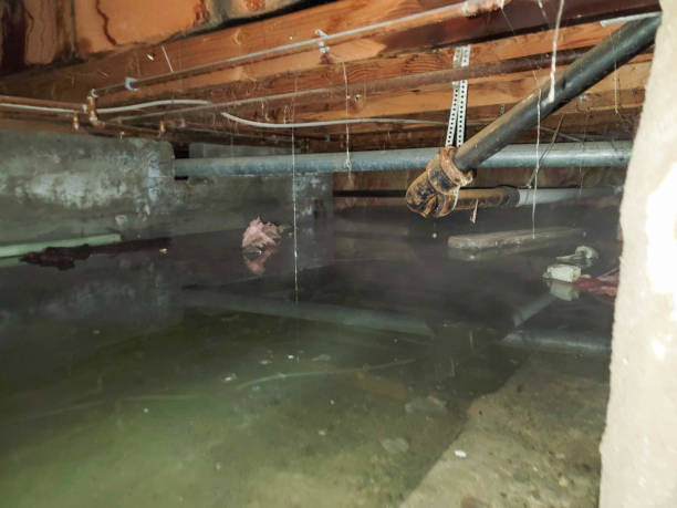 Best Commercial water damage restoration  in Linn, MO