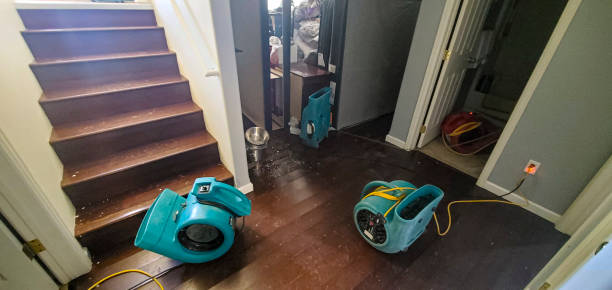 Best Commercial water damage restoration  in Linn, MO