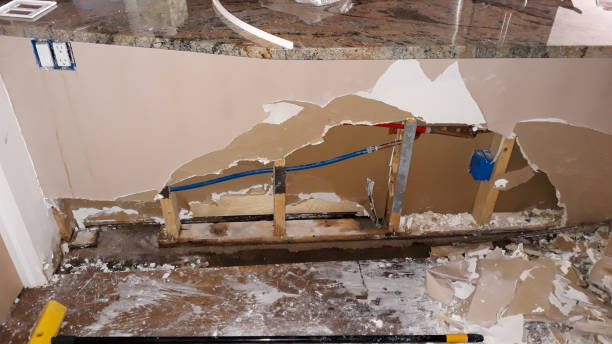 Best Professional water damage repair  in Linn, MO