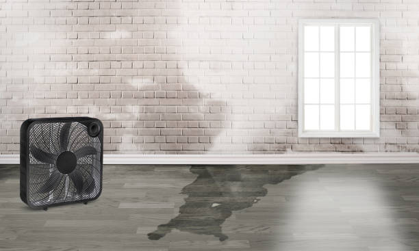 24/7 water damage repair in Linn, MO