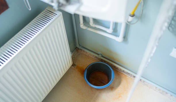 Best Water damage cleanup near me  in Linn, MO